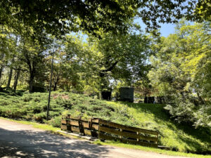 camping-la-marjorie-emplacement-ombragé-yesicamp