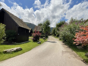 chalets-de-la-wormsa-environnement-yesicamp