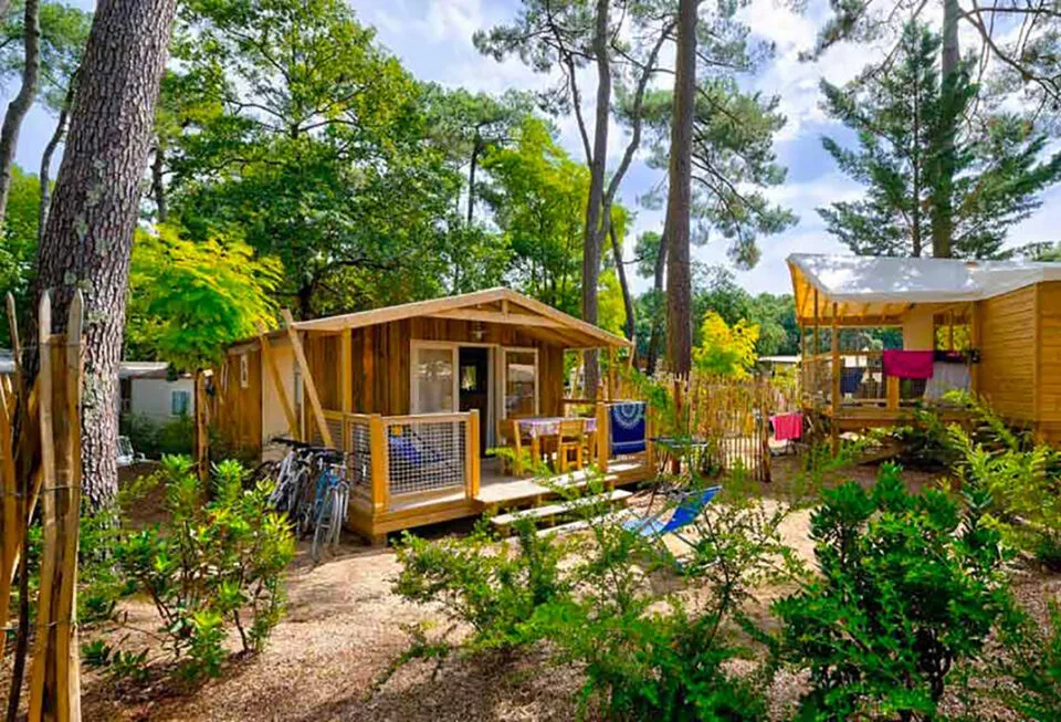 Flower Campsites: Another way to see camping!