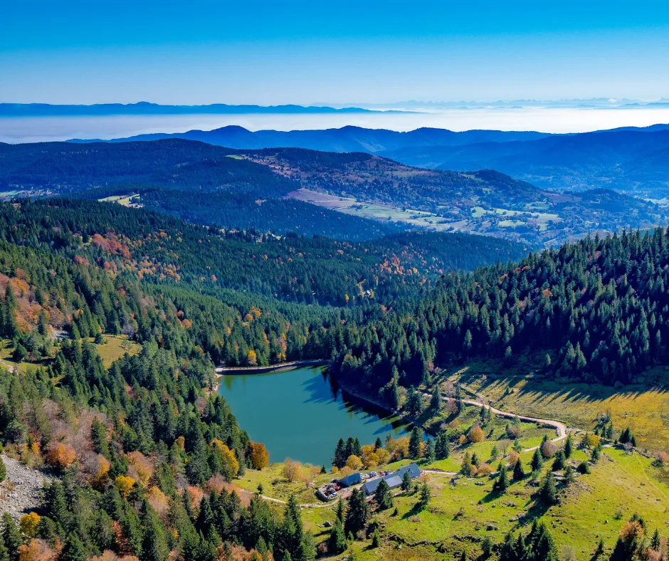 les vosges